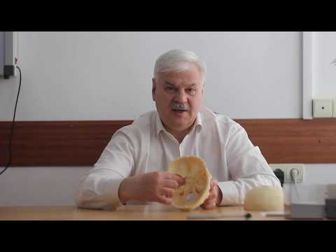 Видео: Синусогенная головная боль