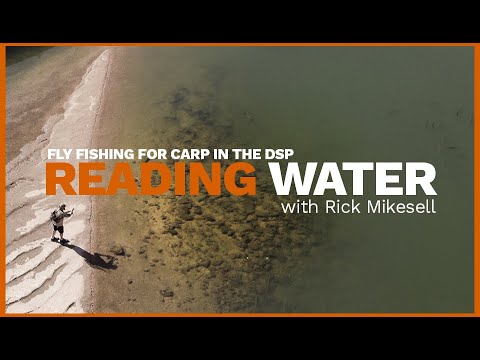Видео: Как ловить карпа нахлыстом на реке Саут-Платт в Денвере // ЧТЕНИЕ ВОДЫ с Риком Майкселлом