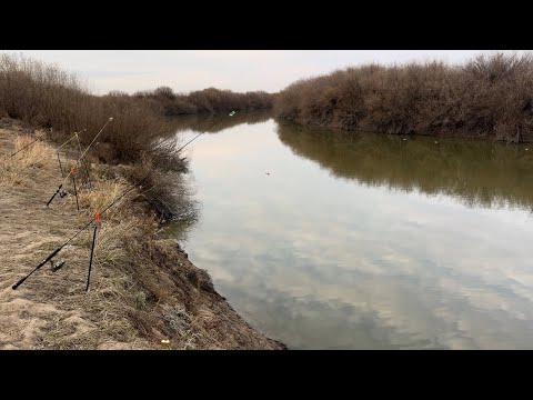 Видео: РЕКА НУРА, ЗАКРЫВАЕМ СЕЗОН СУДАКАМИ! РЫБАЛКА В МЕЖСЕЗОНЬЕ НА ПЛАВУНЫ И ДОНКИ! 