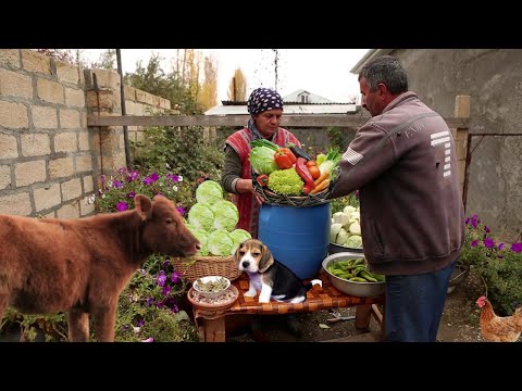 Видео: Солим Овощи на Зиму и Готовим Азербайджанские Хинкали (Для русского языка включите субтитры)