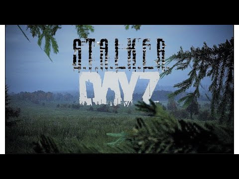 Видео: DayZ PvE моды STALKER