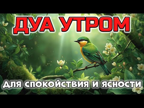 Видео: ДУА ДЛЯ УСПОКОЕНИЯ И ФОКУСА! 🤲🧠