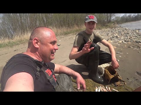 Видео: Наконец то пошёл усач.Рыбалка Кастинговой сетью