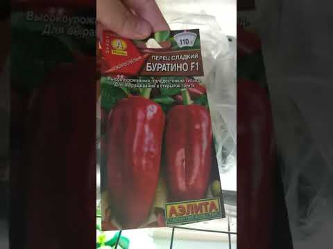 Видео: #Перцы2022г. с Татьяной Пивкиной. Новые Контакты под видео