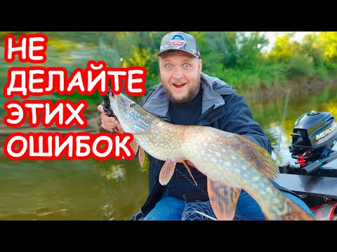 Видео: ТОП ОШИБОК ПРИ ЛОВЛЕ НА СПИННИНГ. ЛОВЛЯ ЩУКИ НА БЛЕСНУ И НА ДЖИГ. ПРИМАНКИ И ПРОВОДКИ НА ЩУКУ