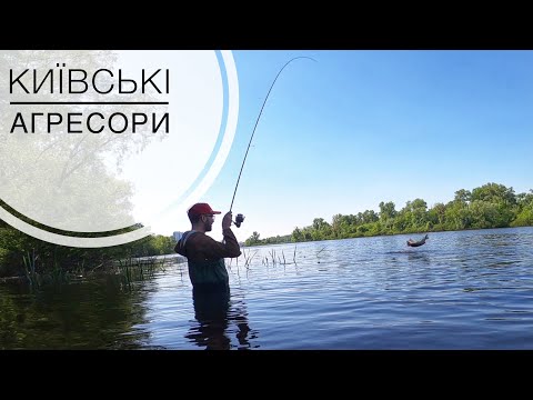 Видео: Рибалимо в місті Києві на Десенці (Чорторої).