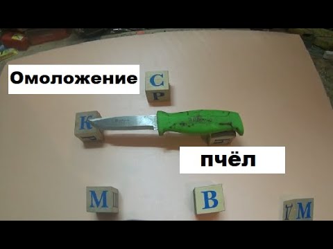 Видео: Омолаживание пчёл