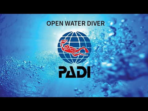 Видео: Дайвинг. Теоретический курс. Второй модуль.