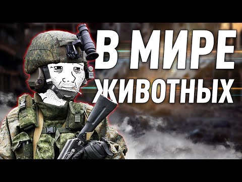 Видео: ДОМАШНИЙ СПЕЦНАЗ