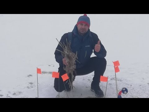 Видео: СУПЕР!!! Я В ШОКЕ ОТ РЕЗУЛЬТАТА ЭКСПЕРИМЕНТА! СПОСОБ ОТ НЕ ЗАМЕРЗАНИЯ ЖЕРЛИЦ - НАЙДЕН!!!!!