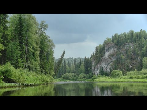 Видео: Знакомство с рекой Берёзовой / Сплав от Вижая до Валая / 1 часть #393