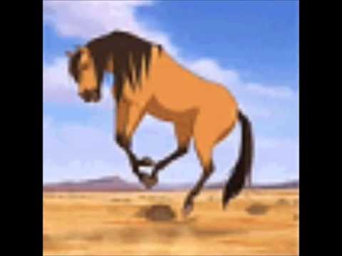 Видео: спирит душа прерий