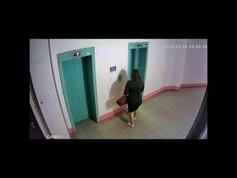 Видео: Свиньи Воронежа