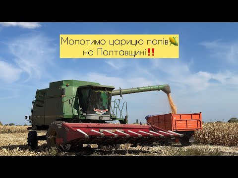 Видео: Жнива кукурудзи 2025🌽‼️Очікував на гіршу врожайність 🔥 Аміго та Дієго від Євросем 👍🤝
