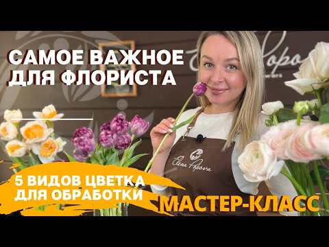 Видео: 5 цветов для обработки. Обработка и хранение срезанных цветов. Самое важное для флориста