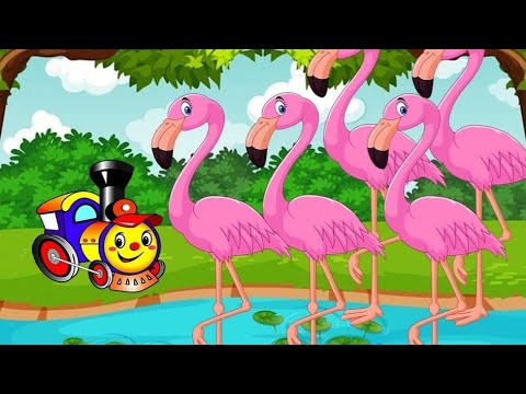 Видео: Екскурсія у зоопарк. Дітям про екзотичних тварин.