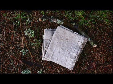 Видео: Окрашивание ткани натуральными красителями: Лишайник Пармелия / Natural dyes: Parmelia Lichen