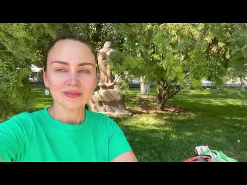 Видео: Казахстан,г.Шымкент. Верхний рынок. Базарные дела