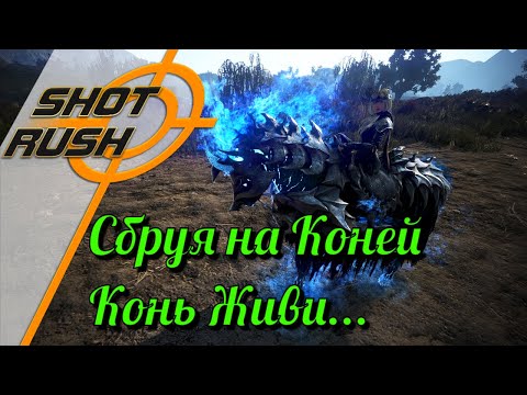 Видео: Black Desert / BD: Сбруя на Коней для новичков. Как получить, прокачать и к чему стремится.