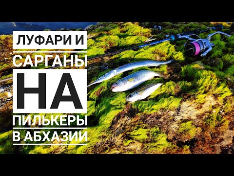 Видео: Первый черноморский Луфарь! Отличный клев на Черном Море!