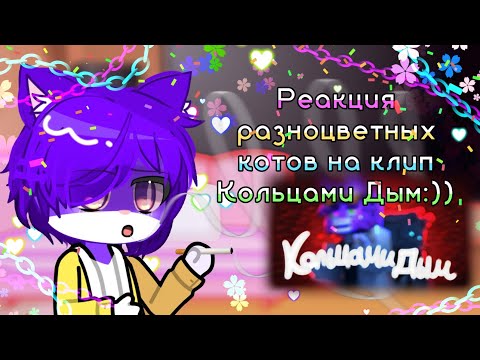 Видео: реакция разноцветгых котов на кольцами дым. (спустя 1286 лет😍😍)