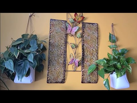 Видео: 💥ВЕСЕННИЙ ОБЗОР МОИХ КОМНАТНЫХ РАСТЕНИЙ,Ч.2