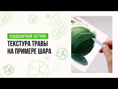 Видео: Текстура травы на примере шара. Ландшафтный скетчинг для начинающих от Ольги Каминской
