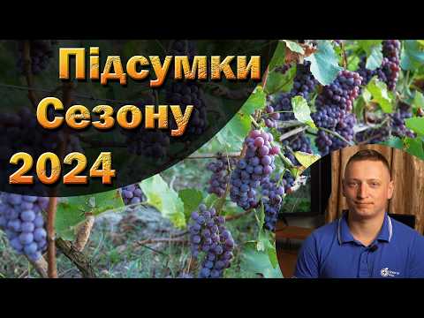 Видео: Підсумки винограднго сезону 2024. Осінні обробки від хвороб