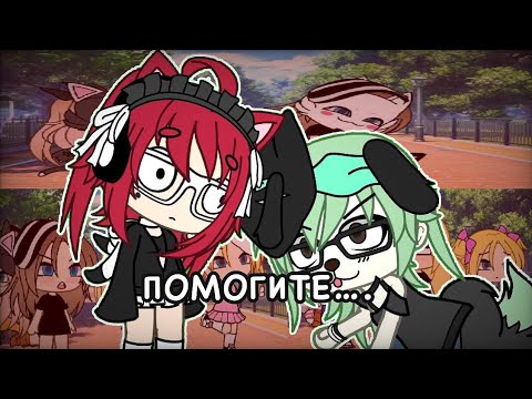 Видео: Я СТАНУ КВАДРОБЕРОМ🐱// РЕАКЦИЯ НА КВАДРОБЕРОВ ГАЧА!!//GACHA LIFE//#2024 #гача #гачалайф #gacha