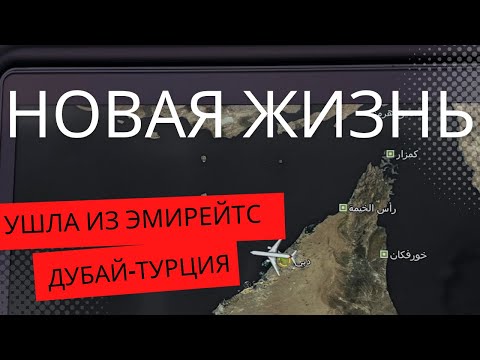 Видео: Перелет из Дубая в Турцию, перевес багажа, новая квартира
