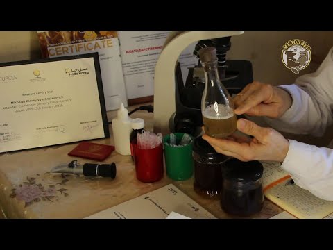 Видео: Есть ли в этом Мёде Гречиха