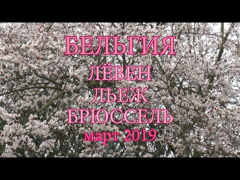 Видео: Бельгия, Лёвен и Льеж, март 2019 года. Фильм Ларисы Андреевой и Сергея Блохнина.