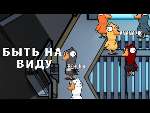 Видео: Быть на виду ► Не задерживаемся ► Goose Goose Duck