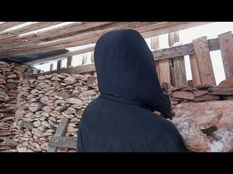 Видео: Вторник. 28.10.2025г. | 16:44