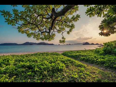 Видео: 12 ноября 2025 г.