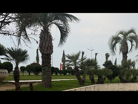 Видео: КОСТИН ДВИЖ в прямом эфире!