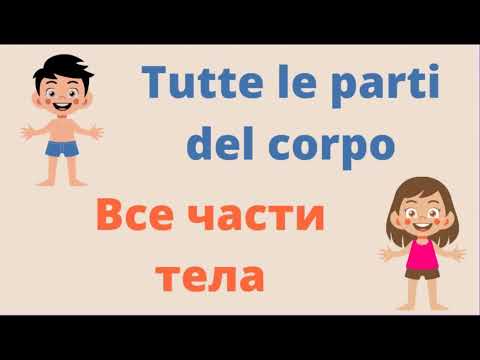 Видео: ВСЕ ЧАСТИ ТЕЛА НА ИТАЛЬЯНСКОМ - Tutte le parti del corpo in russo