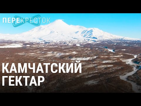 Видео: Камчатский гектар | ПЕРЕКРЁСТОК