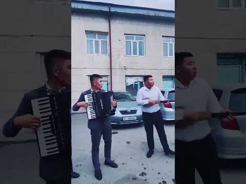 Видео: Той ырлары аккордеон комуздун коштоосунда. Сыймык & Элдияр