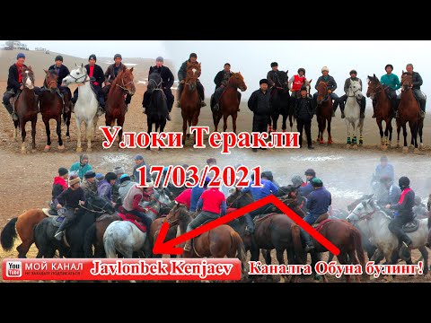 Видео: Купкари Улоки теракли 17 03 2021