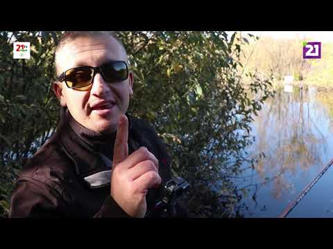 Видео: Карпатське рибалля / Ловля карася на «Чорних озерах» в місті Ужгород