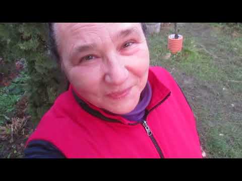 Видео: Ах, козлятина! Нет слов, одни эмоции...