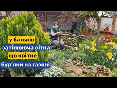 Видео: Заливає, а садок квітне! У батьків на ділянці. Затінююча сітка. Газон в бур'янах.
