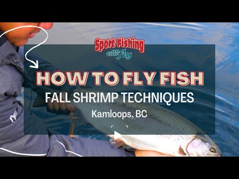 Видео: Нахлыстовая рыбалка: ловля креветок осенью
