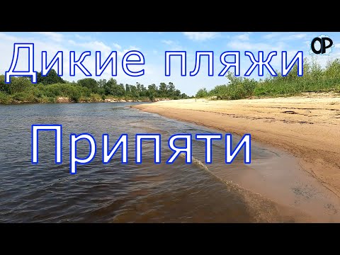 Видео: Дикие пляжи Припяти