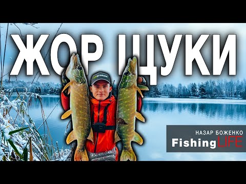 Видео: ПЕРШІ МОРОЗИ  - ЖОР ЩУКИ Перед Льодоставом. Рибалка На Щуку На Джиг