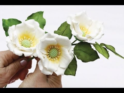 Видео: Как сделать красивые цветы из мастики (Beautiful flowers from mastic)