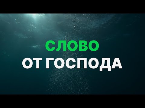 Видео: Слово от Господа / Дмитрий Юдин (18.08.24)