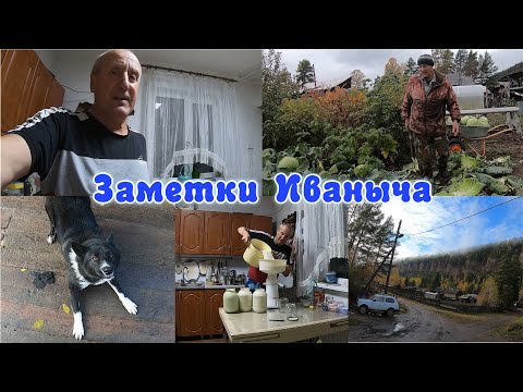 Видео: Дела домашние