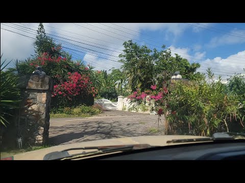 Видео: Это место действительно приятное...присоединяйтесь ко мне в Маунт-Плезант #бекия